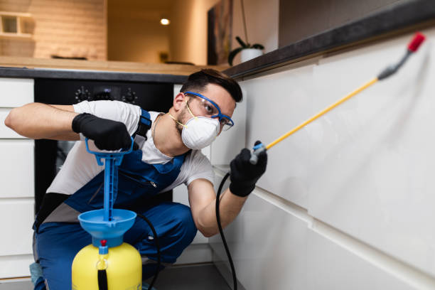 Best Pest Inspection Near Me  in Lake Mills, IA