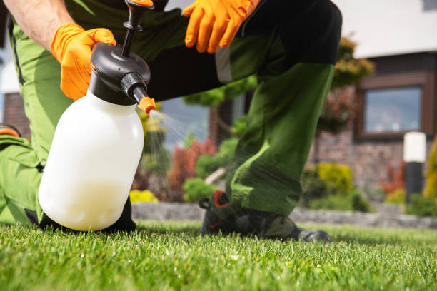 Best Wasp Removal Services  in Lake Mills, IA