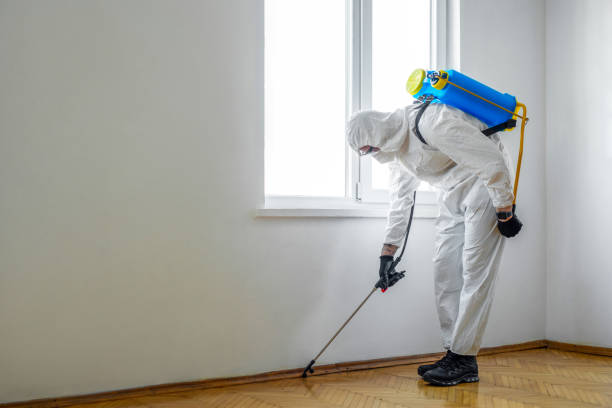 Best Best Pest Control Companies  in Lake Mills, IA