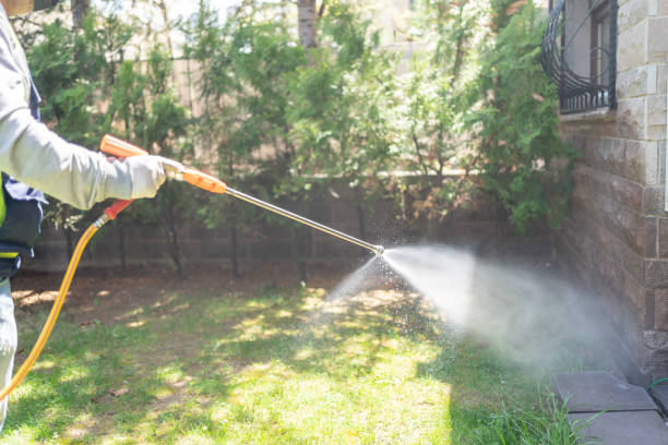 Best Exterminator Services  in Lake Mills, IA
