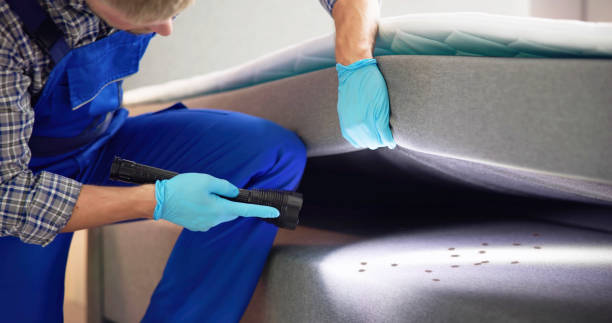 Best Commercial Pest Control Services  in Lake Mills, IA