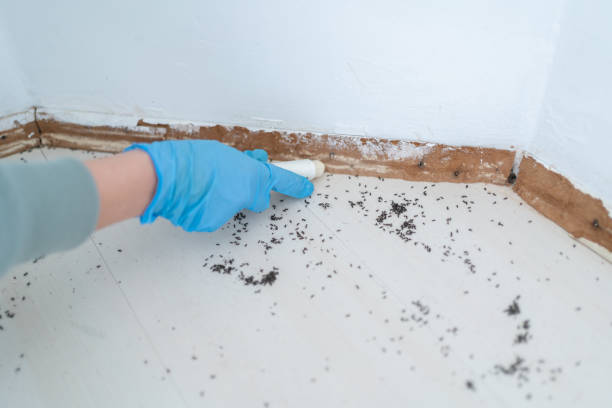 Best Best Pest Control Companies  in Lake Mills, IA