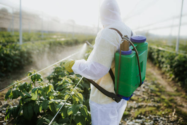Best Local Pest Control Services  in Lake Mills, IA